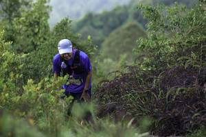 BIB: 332
                            <button type="button" onclick="openModal(24763492)" class="btn btn-primary btn-sm float-right btn-popup" data-toggle="modal" data-target=".modal-high-quality">
                        <i class="fas fa-shopping-cart"></i> Add to Cart
                    </button>
                                            <button type="button" onclick="isThisMe(24763492, true)" class="btn btn-success btn-sm float-right btn-popup btn-isme hidden" data-toggle="tooltip" data-placement="bottom" title="นี่คือรูปของคุณใช่ไหม คลิกที่นี่เพื่อเอาเข้าอัลบั้ม">
                        <i class="fas fa-plus"></i> Add to album
                    </button>
                    <button type="button" onclick="isThisMe(24763492, false)" class="btn btn-warning btn-sm float-right btn-popup btn-isnotme hidden">
                        <i class="fas fa-ban"></i> Remove from album
                    </button>